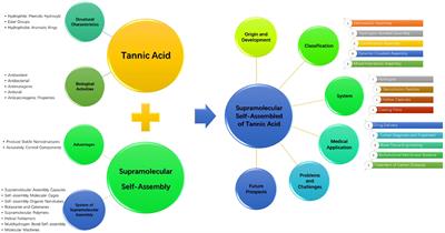 Medical Applications Based on Supramolecular Self-Assembled Materials From Tannic Acid